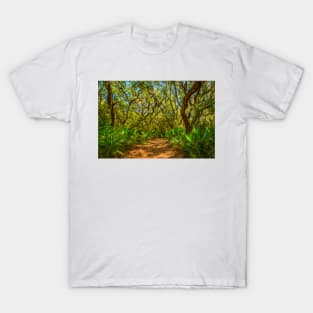 Cumberland Island National Seashore T-Shirt